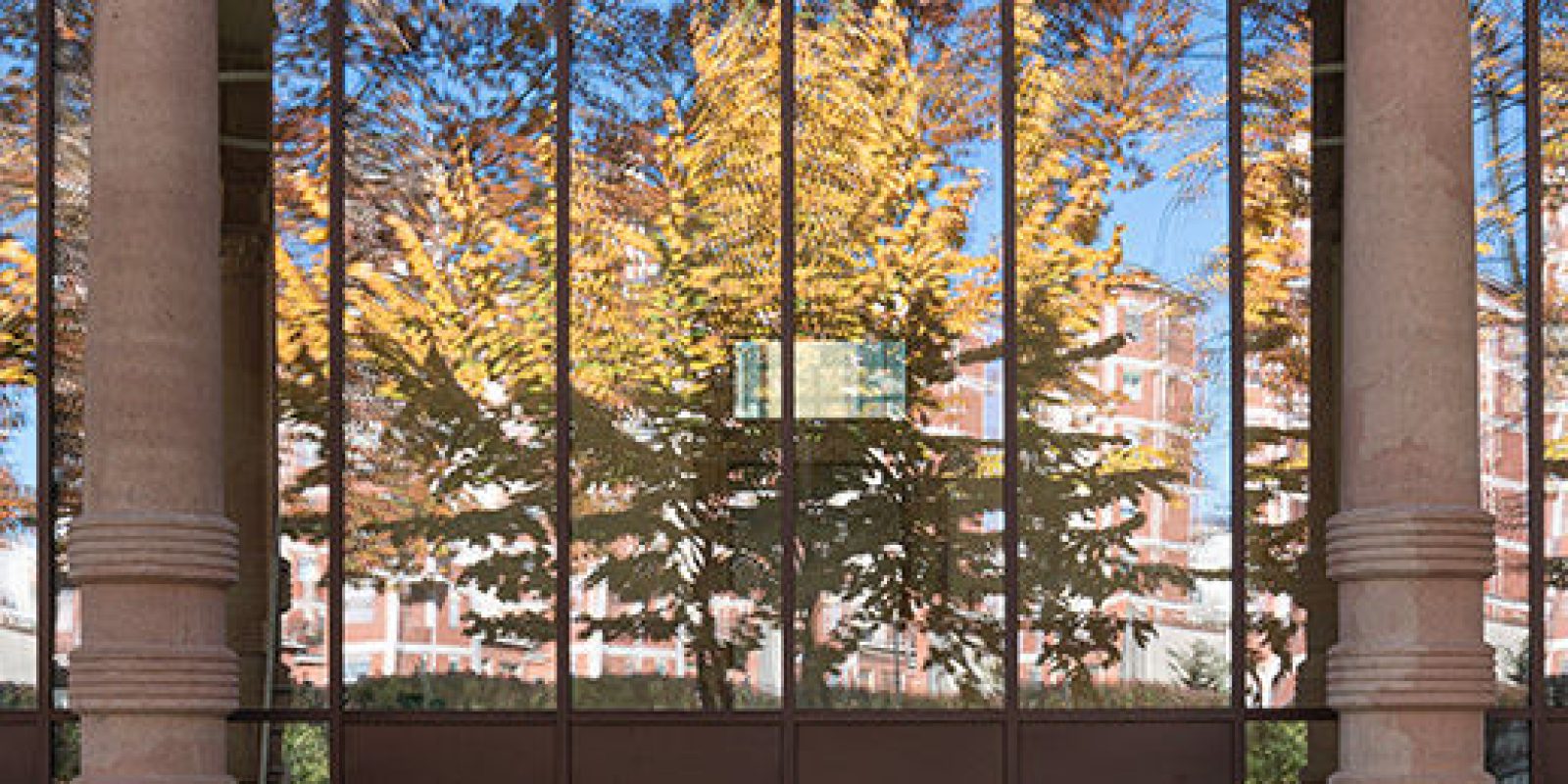 falar-bibliteca-tiraboschi-3