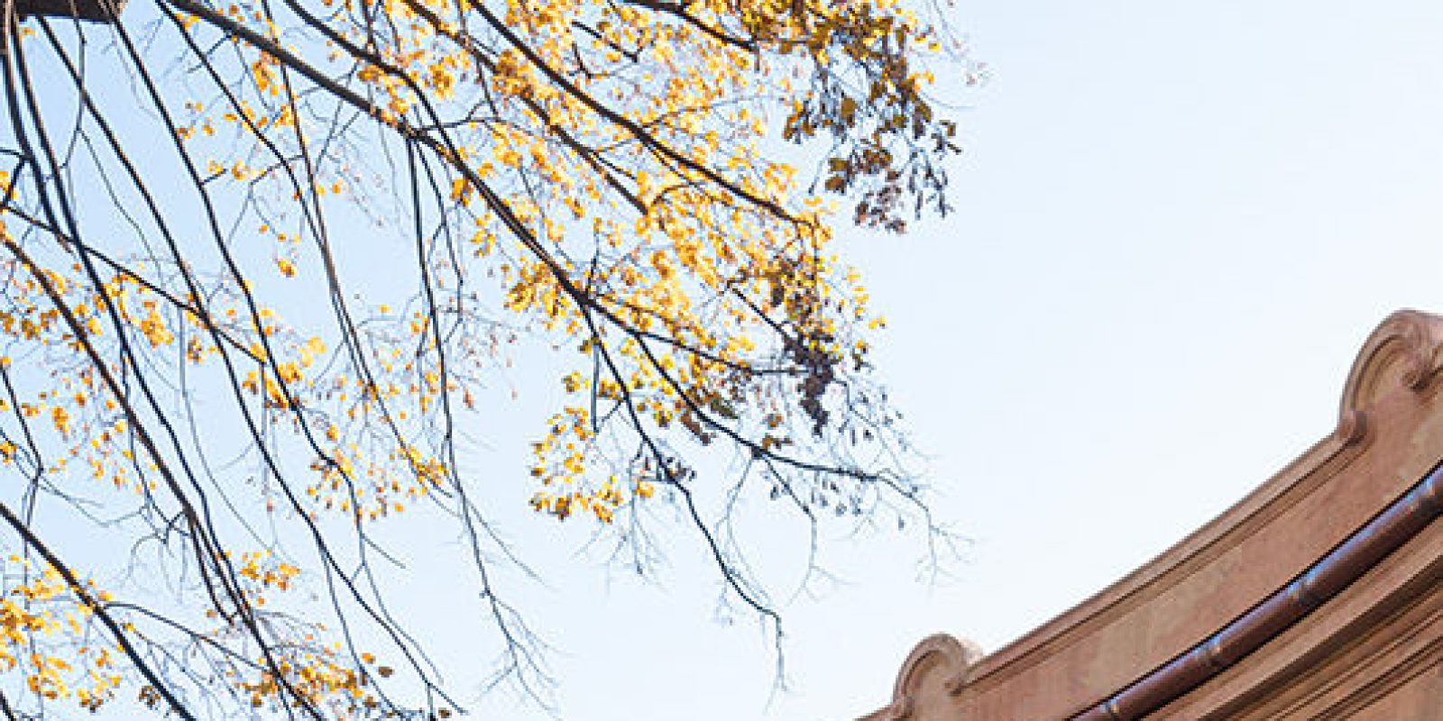 falar-bibliteca-tiraboschi-5